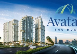 AVATAR THỦ ĐỨC